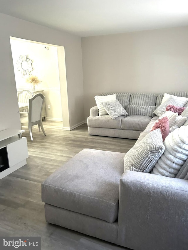 living room with hardwood / wood-style flooring