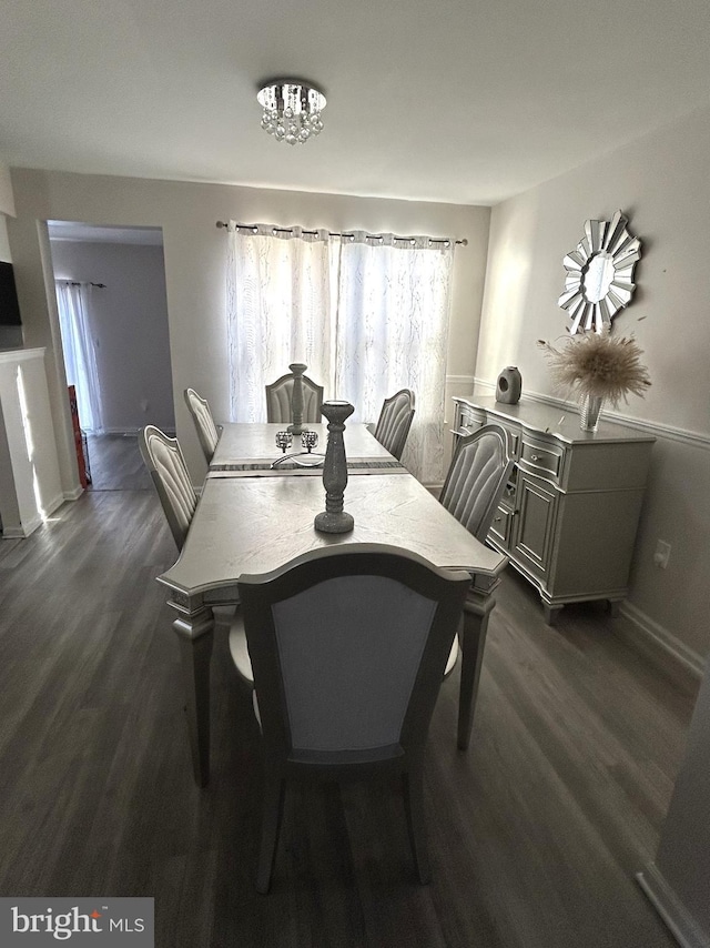 dining room with dark hardwood / wood-style floors