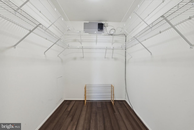 walk in closet featuring dark hardwood / wood-style floors