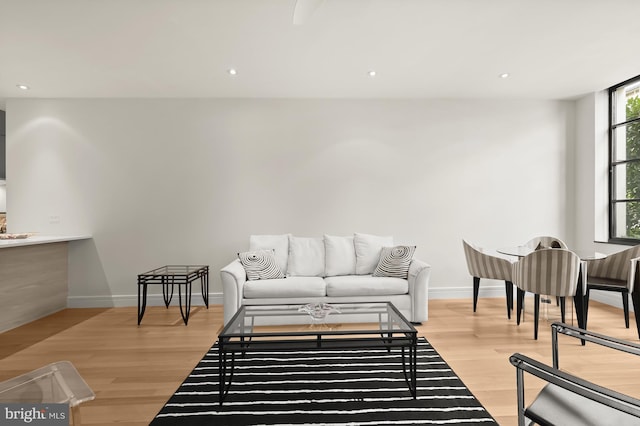 living room with light wood-type flooring