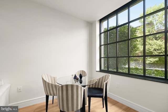 dining space featuring light hardwood / wood-style floors and plenty of natural light