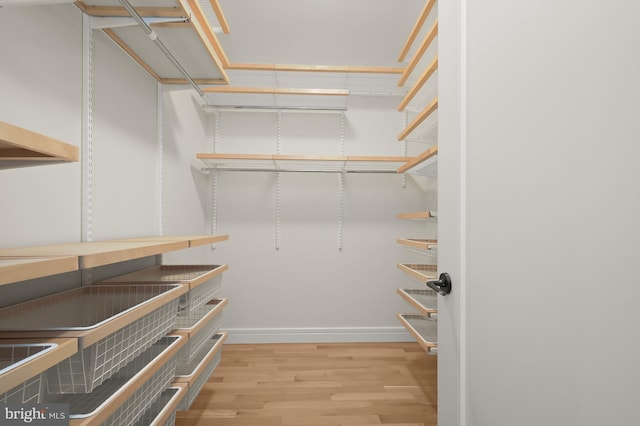 walk in closet featuring light wood-type flooring