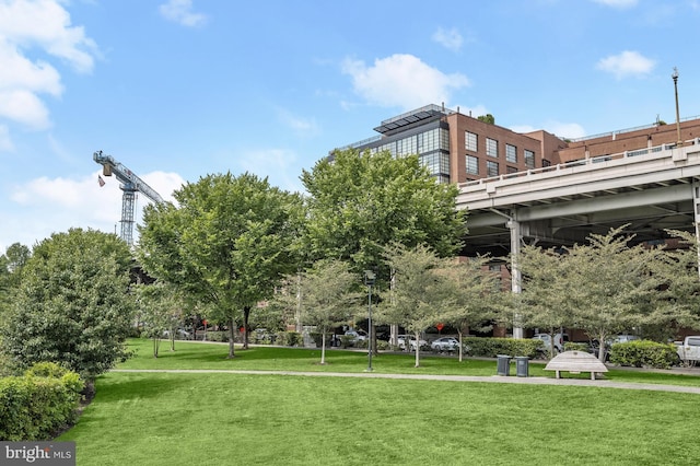 view of property's community featuring a lawn