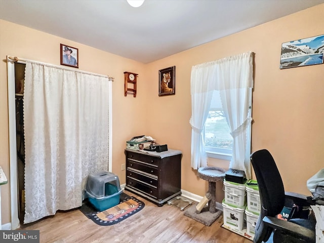 office with light hardwood / wood-style floors