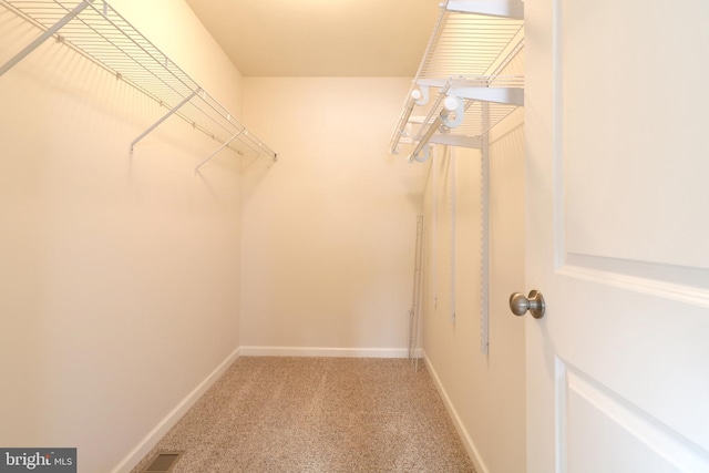 spacious closet with carpet flooring