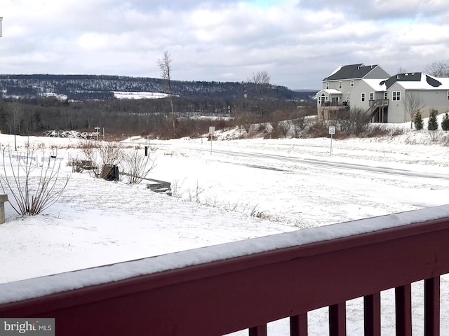 view of yard layered in snow