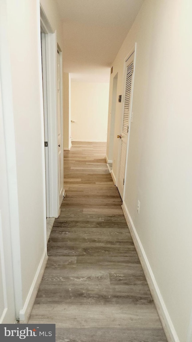 hall featuring wood-type flooring