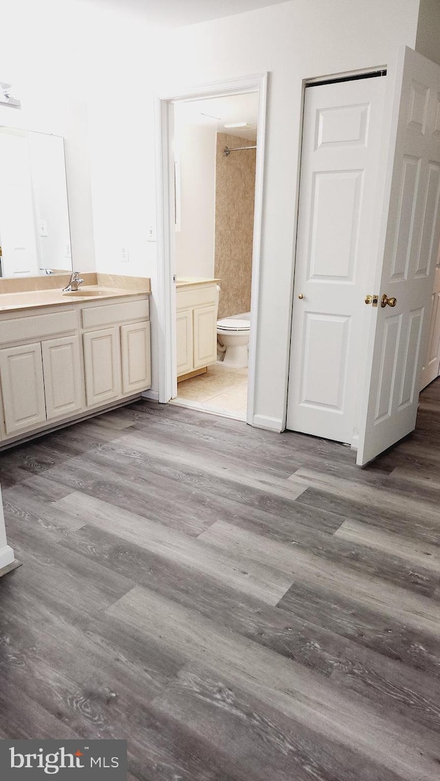 bathroom featuring toilet, vanity, wood-type flooring, and a shower