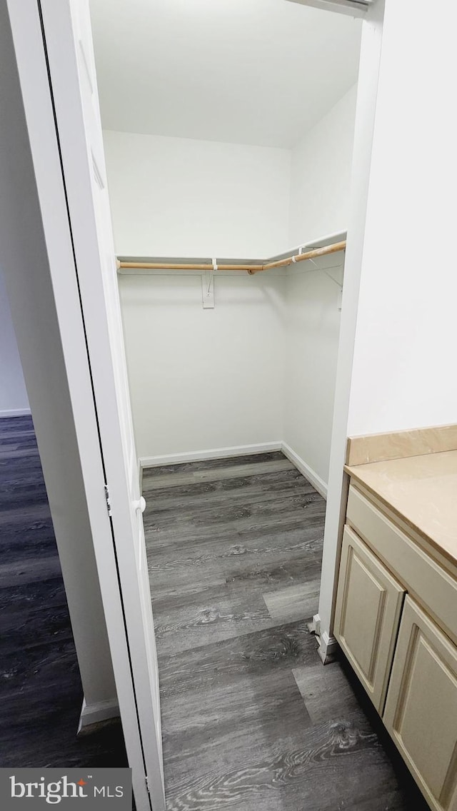 walk in closet with dark hardwood / wood-style floors