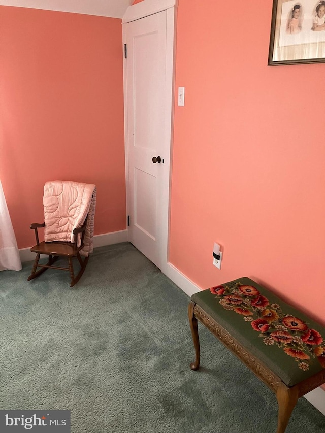 sitting room with carpet