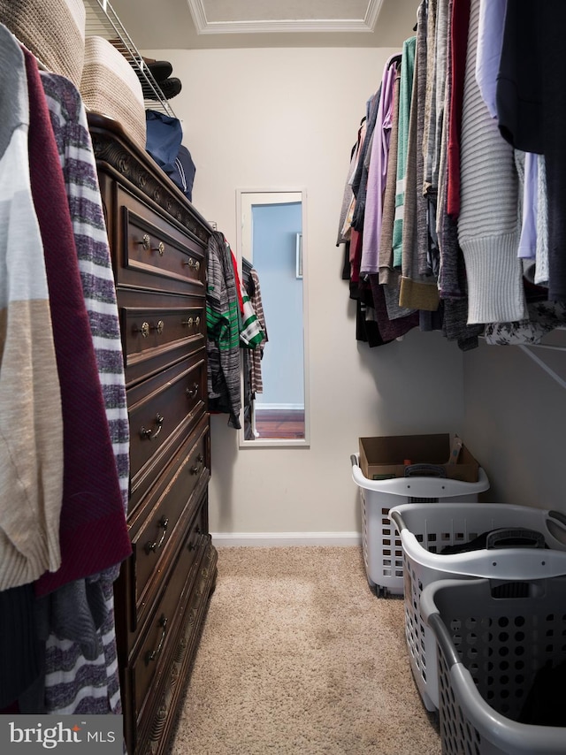 walk in closet with light colored carpet