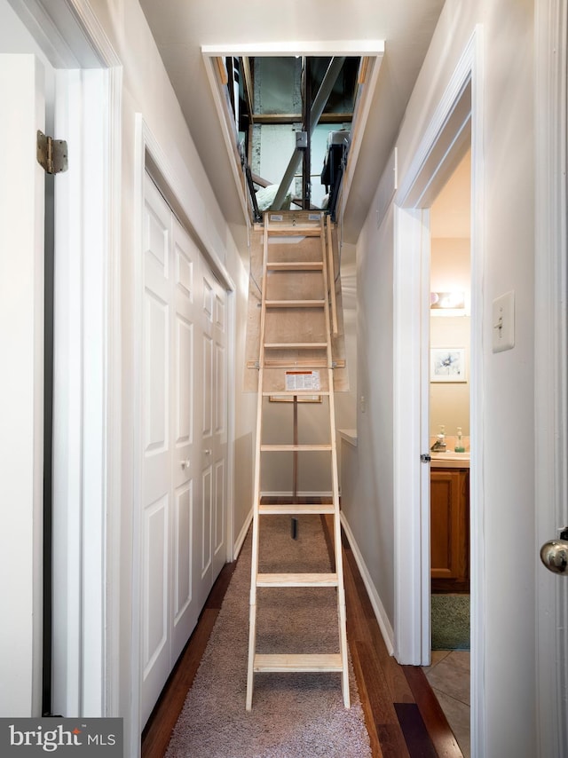 stairway with hardwood / wood-style flooring