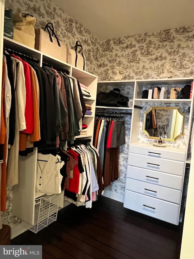 spacious closet featuring hardwood / wood-style floors