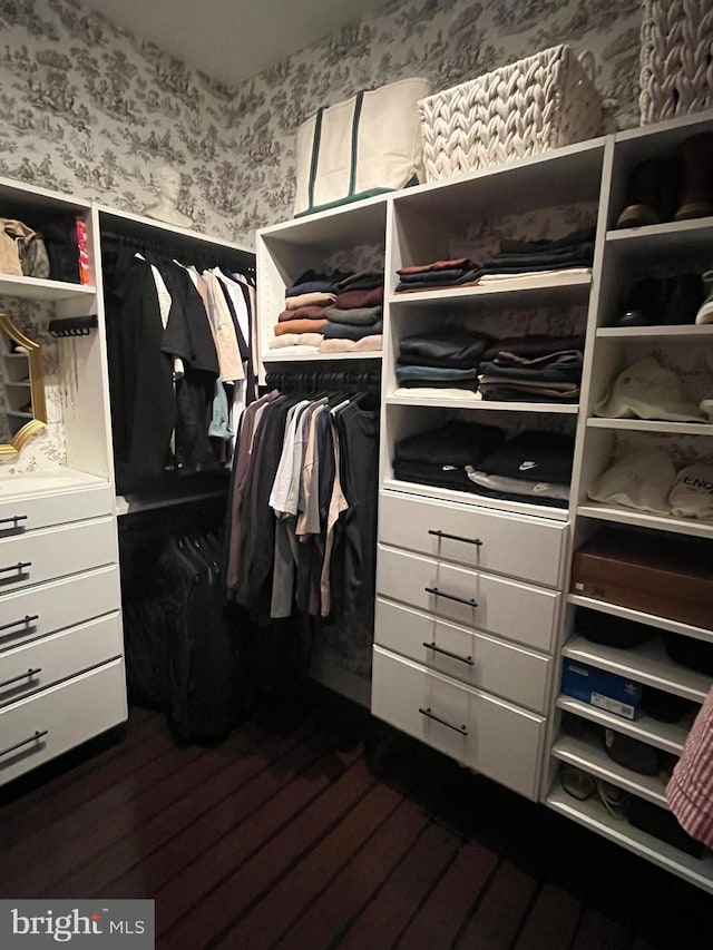 walk in closet featuring dark hardwood / wood-style floors