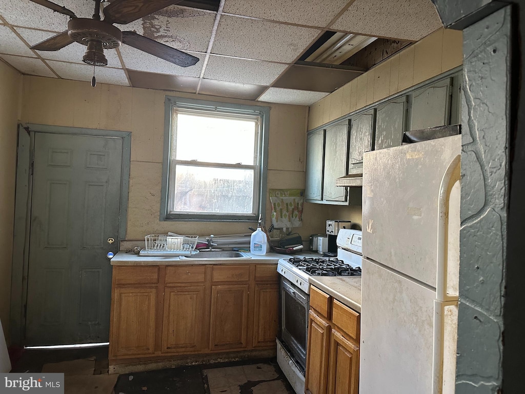 kitchen with a paneled ceiling, white appliances, ceiling fan, exhaust hood, and sink