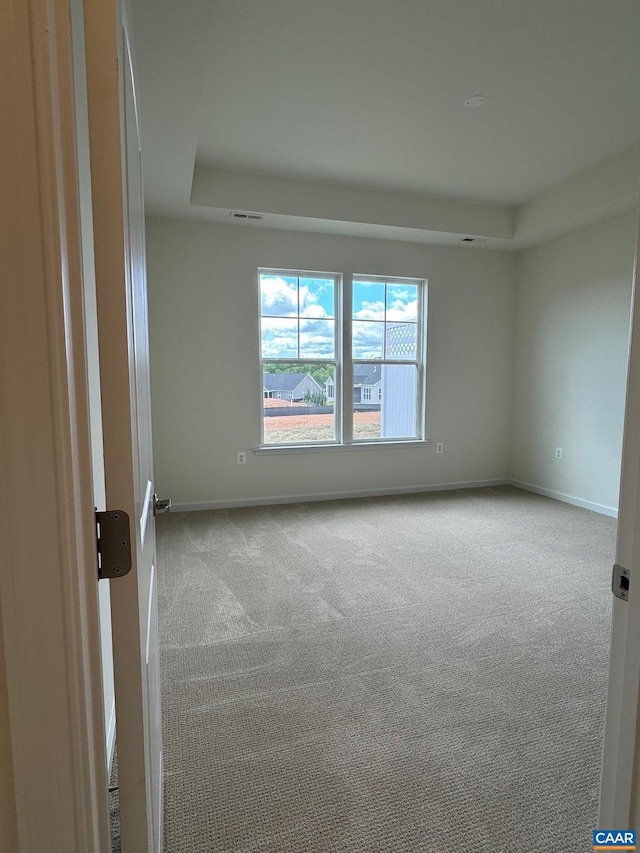 spare room with light colored carpet and a tray ceiling