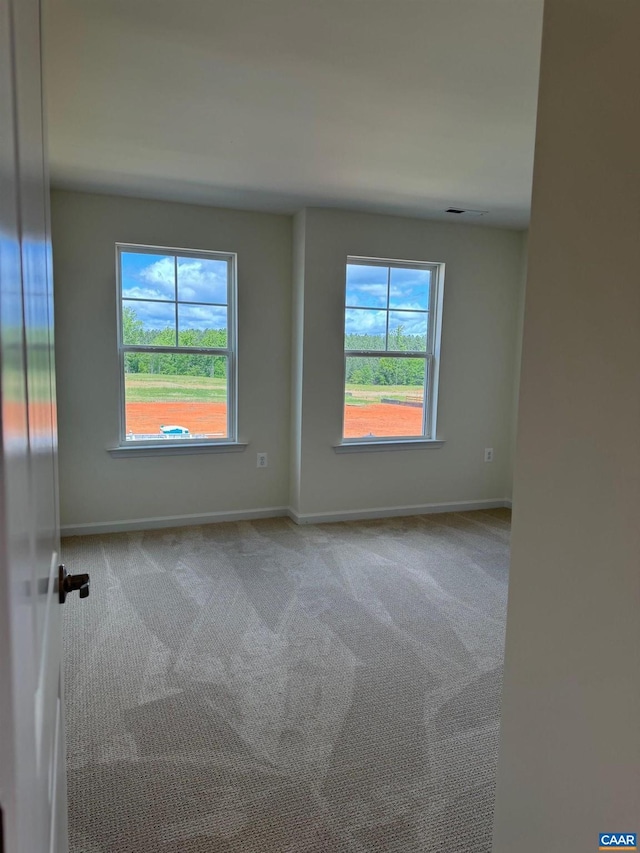 empty room featuring a healthy amount of sunlight and light carpet