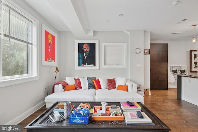 living room featuring dark hardwood / wood-style flooring and plenty of natural light