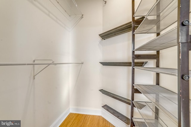 spacious closet featuring wood finished floors