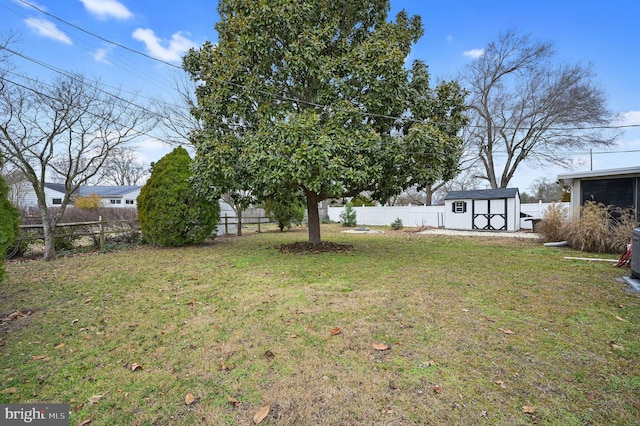 view of yard with a storage shed