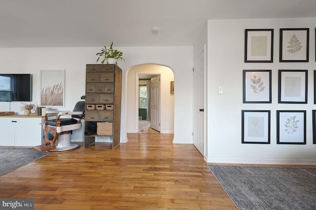 living room with light hardwood / wood-style floors