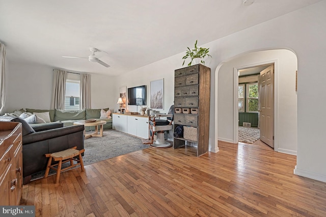 living room with ceiling fan and light wood-type flooring