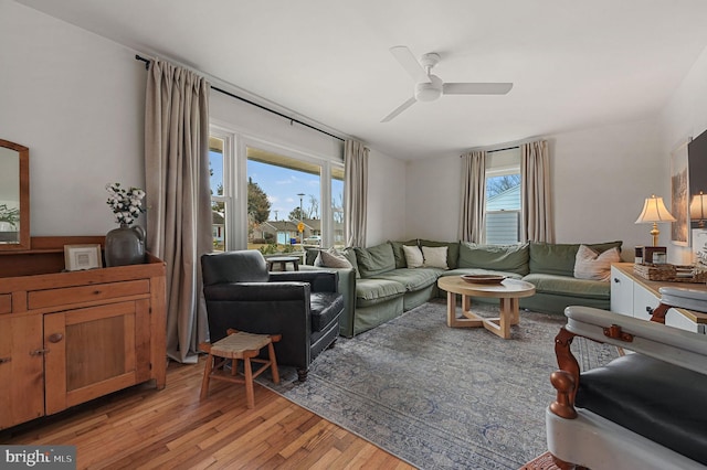 living room with light hardwood / wood-style floors and ceiling fan