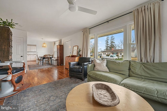 living room featuring ceiling fan and wood-type flooring