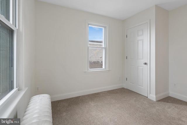 unfurnished room featuring carpet