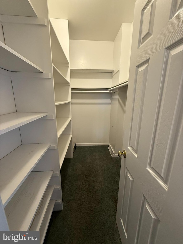 spacious closet featuring dark colored carpet