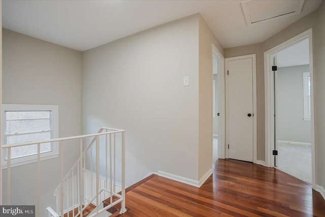 corridor featuring dark hardwood / wood-style floors