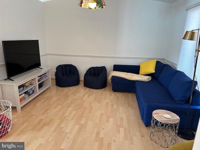 living room featuring light hardwood / wood-style floors