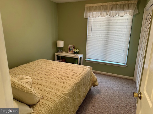 bedroom with multiple windows and carpet