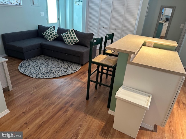 living room featuring hardwood / wood-style flooring