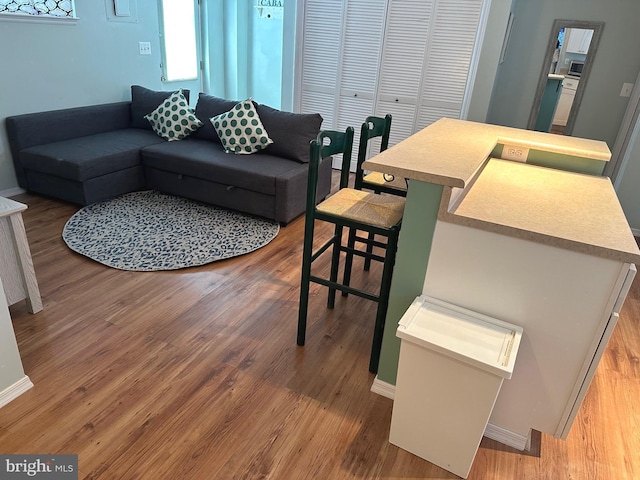 living room featuring hardwood / wood-style floors