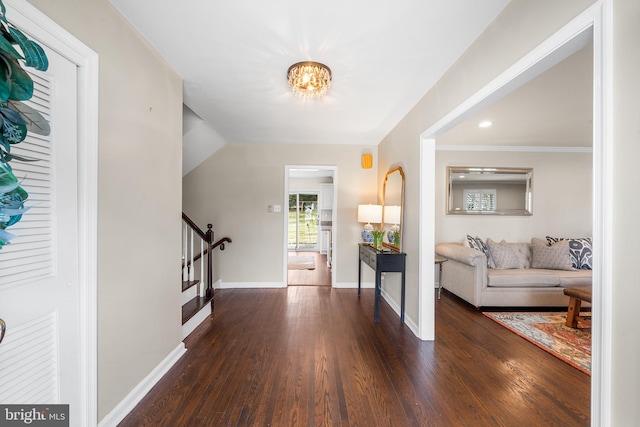 foyer entrance featuring dark wood-type flooring