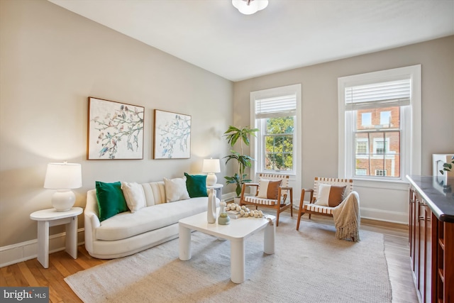 living room with a wealth of natural light and light hardwood / wood-style flooring