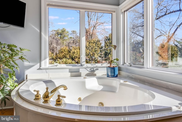 bathroom featuring a bathtub and plenty of natural light