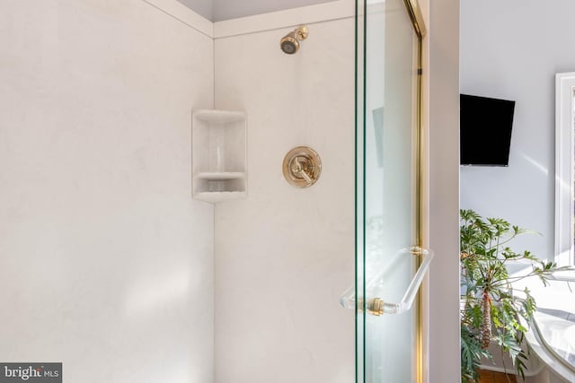 room details featuring walk in shower