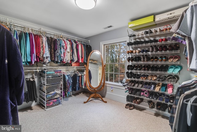 walk in closet with carpet