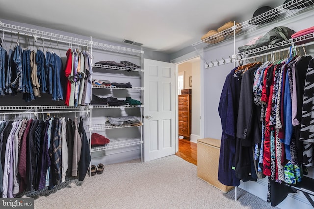 spacious closet with carpet flooring