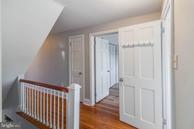 hall with hardwood / wood-style flooring