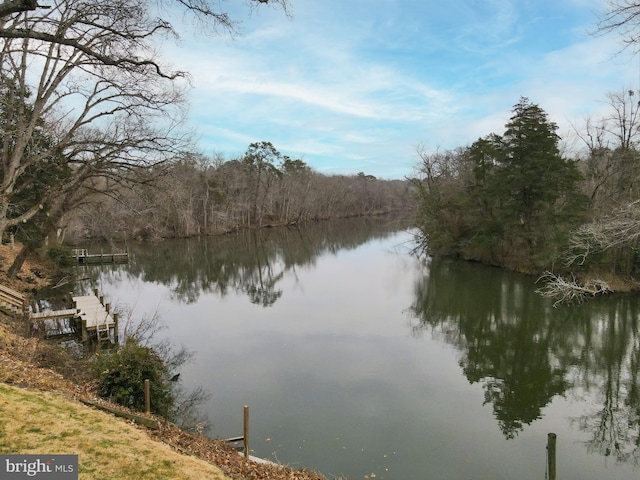 view of water feature with a boat dock