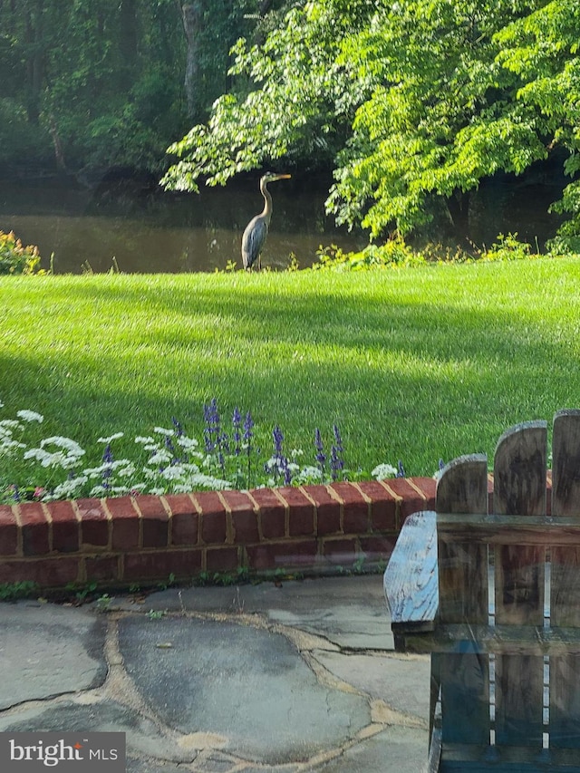 view of property's community featuring a lawn