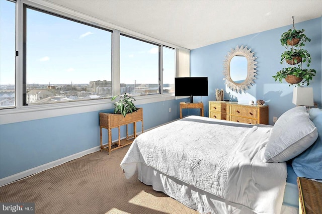 bedroom with carpet flooring