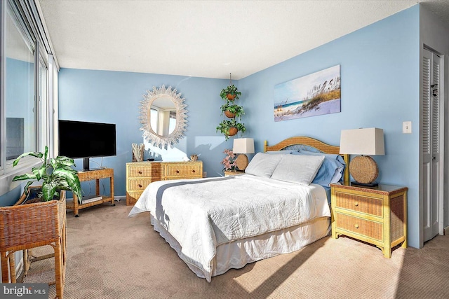 bedroom with carpet flooring and a closet