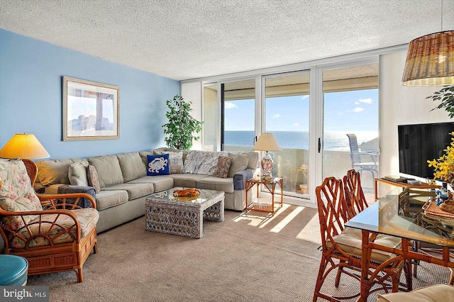 carpeted living room with floor to ceiling windows and a textured ceiling