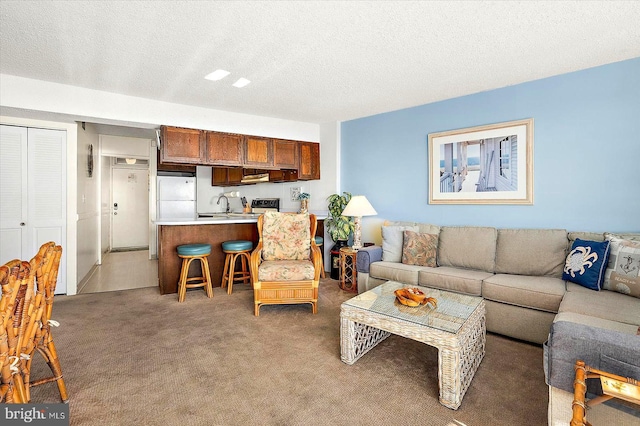 living room featuring a textured ceiling, carpet flooring, and sink