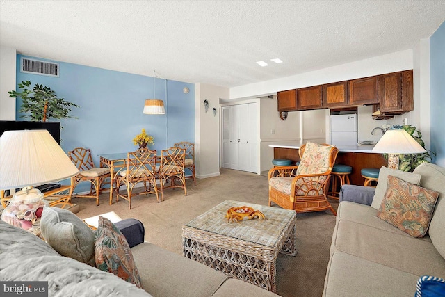 living room featuring a textured ceiling and light colored carpet