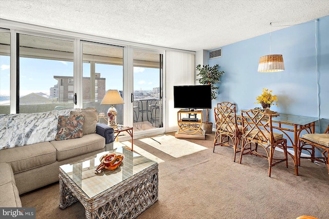 living room featuring a textured ceiling and carpet